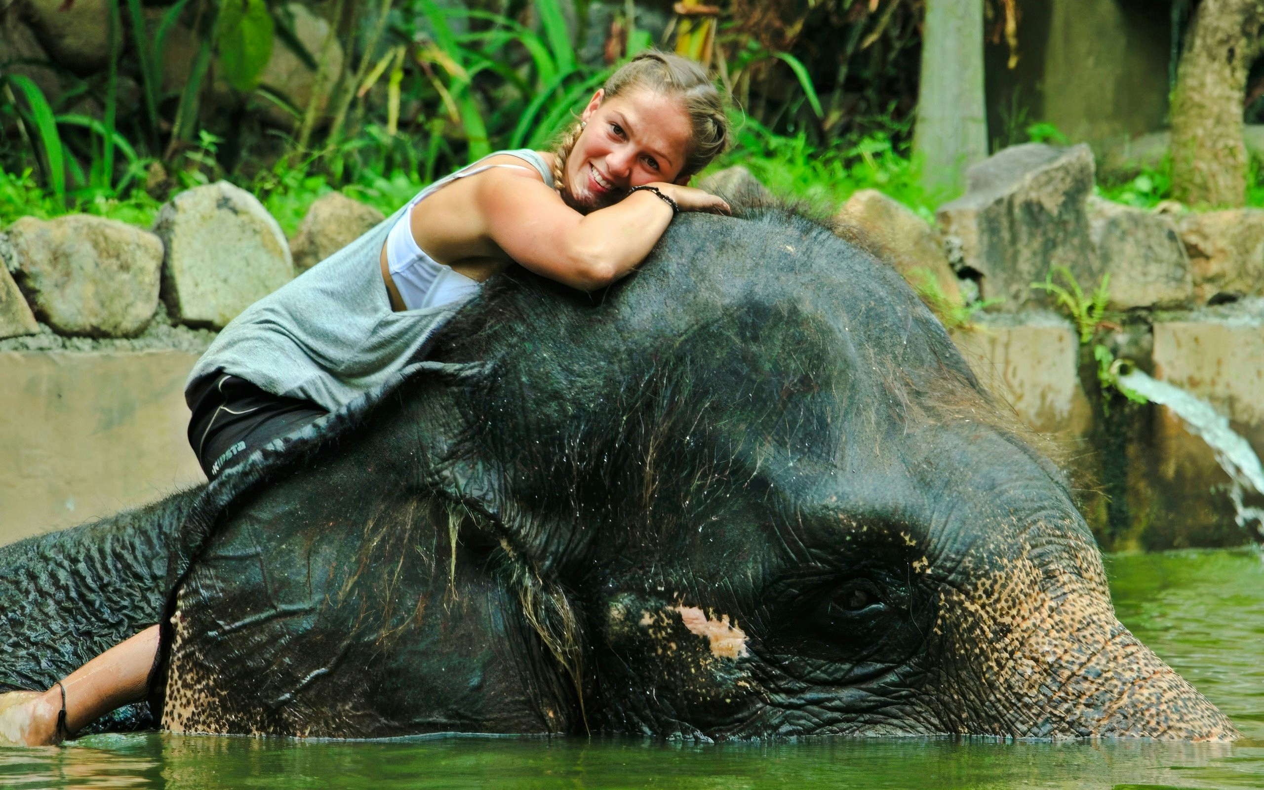 Tourist hugging elephant during Lombok Wildlife Park Elephant Bath Experience.