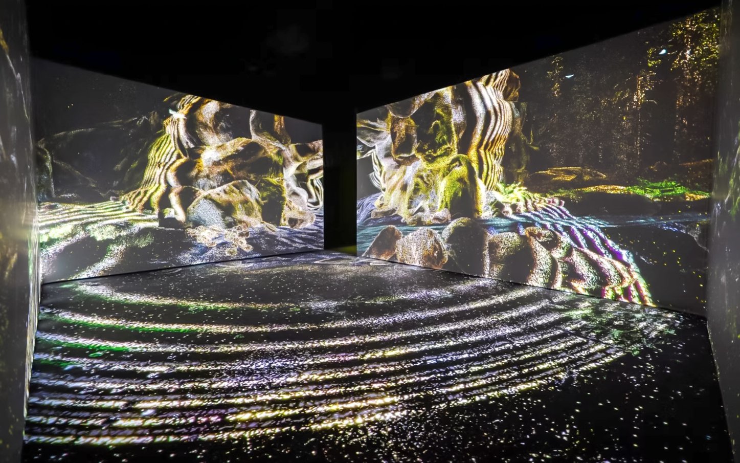 Immersive digital art display at Vivid: Immerse Your Senses exhibit, California Academy of Sciences.