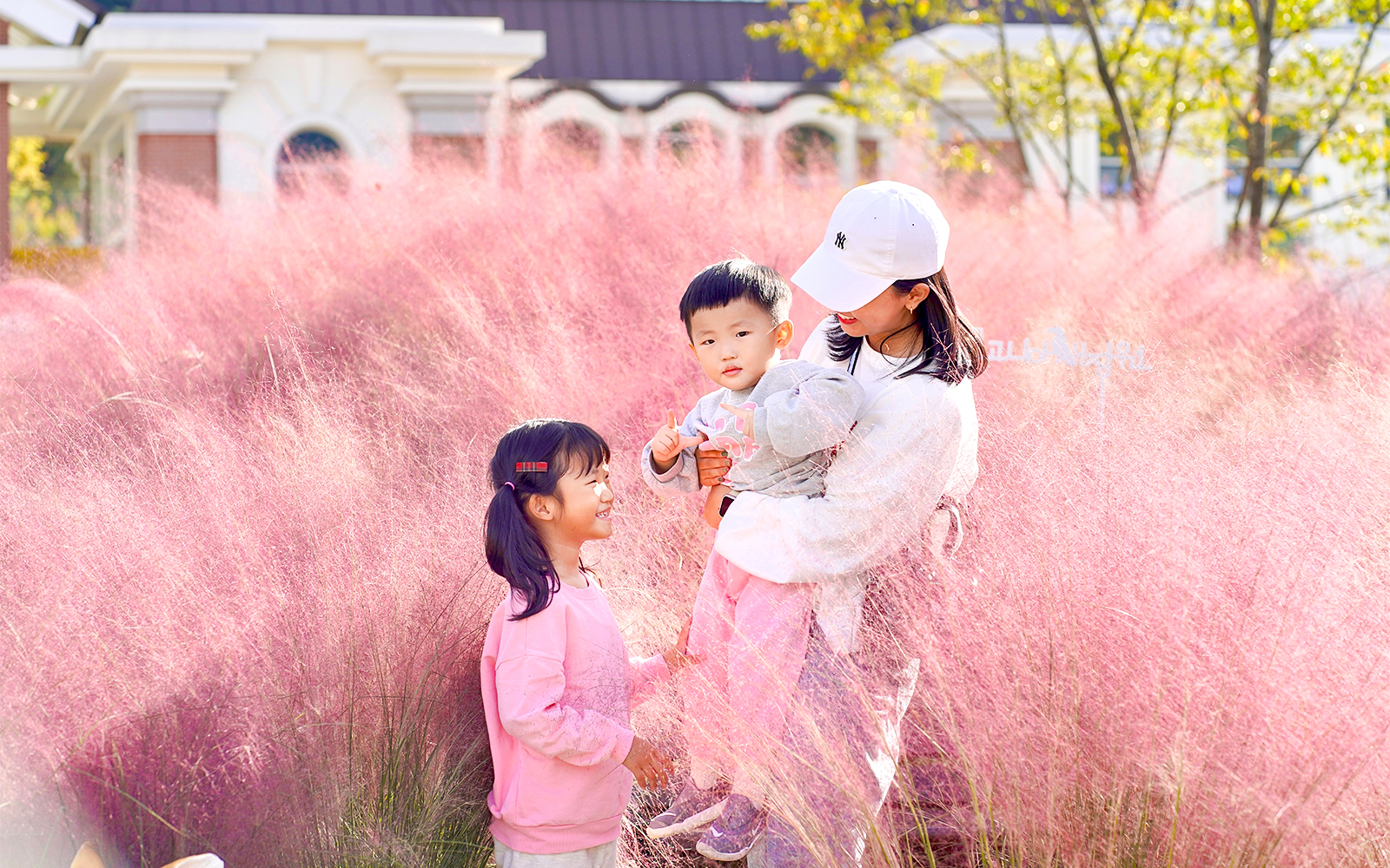 Family enjoying pink muhly grass at Gapyeong Begonia Bird Park.