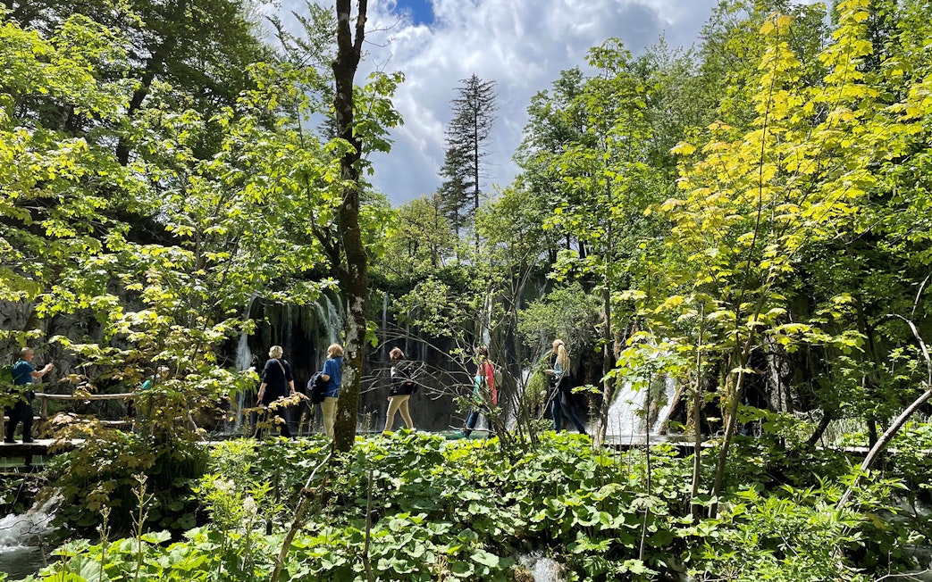 Visitors walking through lush greenery at Plitvice Lakes National Park, Croatia.