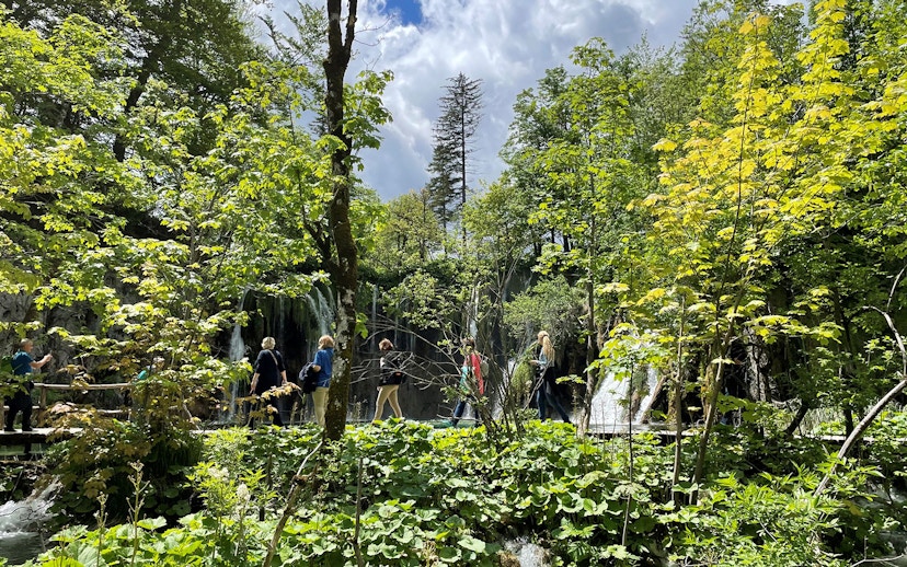 Visitors walking through lush greenery at Plitvice Lakes National Park, Croatia.