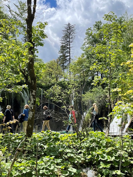 Visitors walking through lush greenery at Plitvice Lakes National Park, Croatia.