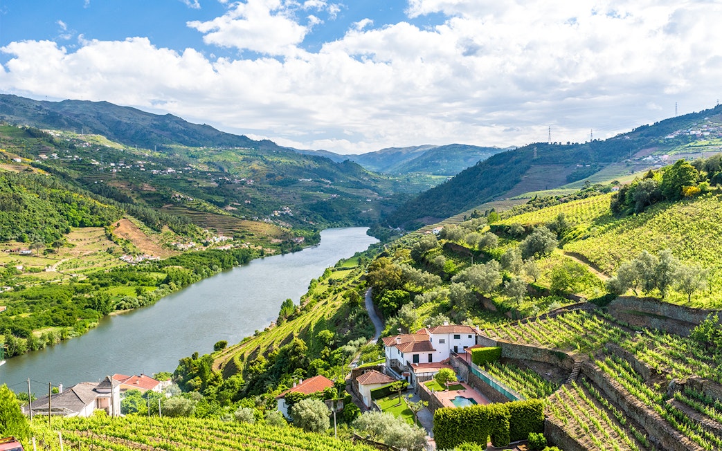 Douro Valley vineyards and river view, Portugal.