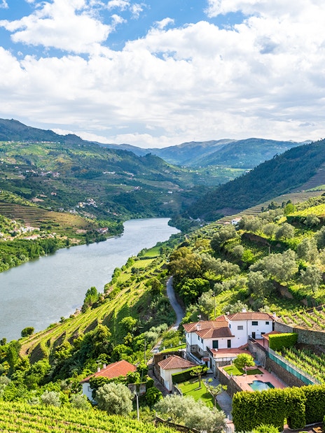 Douro Valley vineyards and river view, Portugal.
