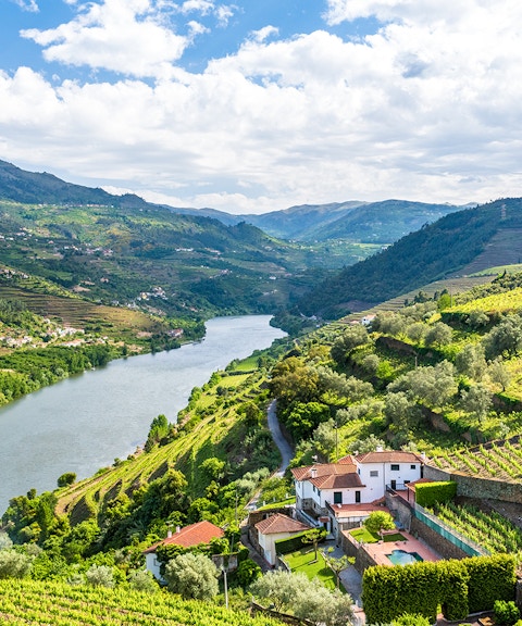 Douro Valley vineyards and river view, Portugal.