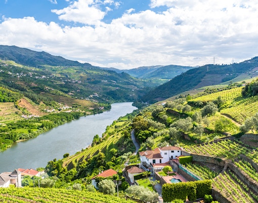 Douro Valley vineyards and river view, Portugal.