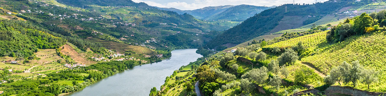 Tour classico della Valle del Douro con crociera di un'ora nel Pinhão, pranzo tradizionale e degustazioni di vino