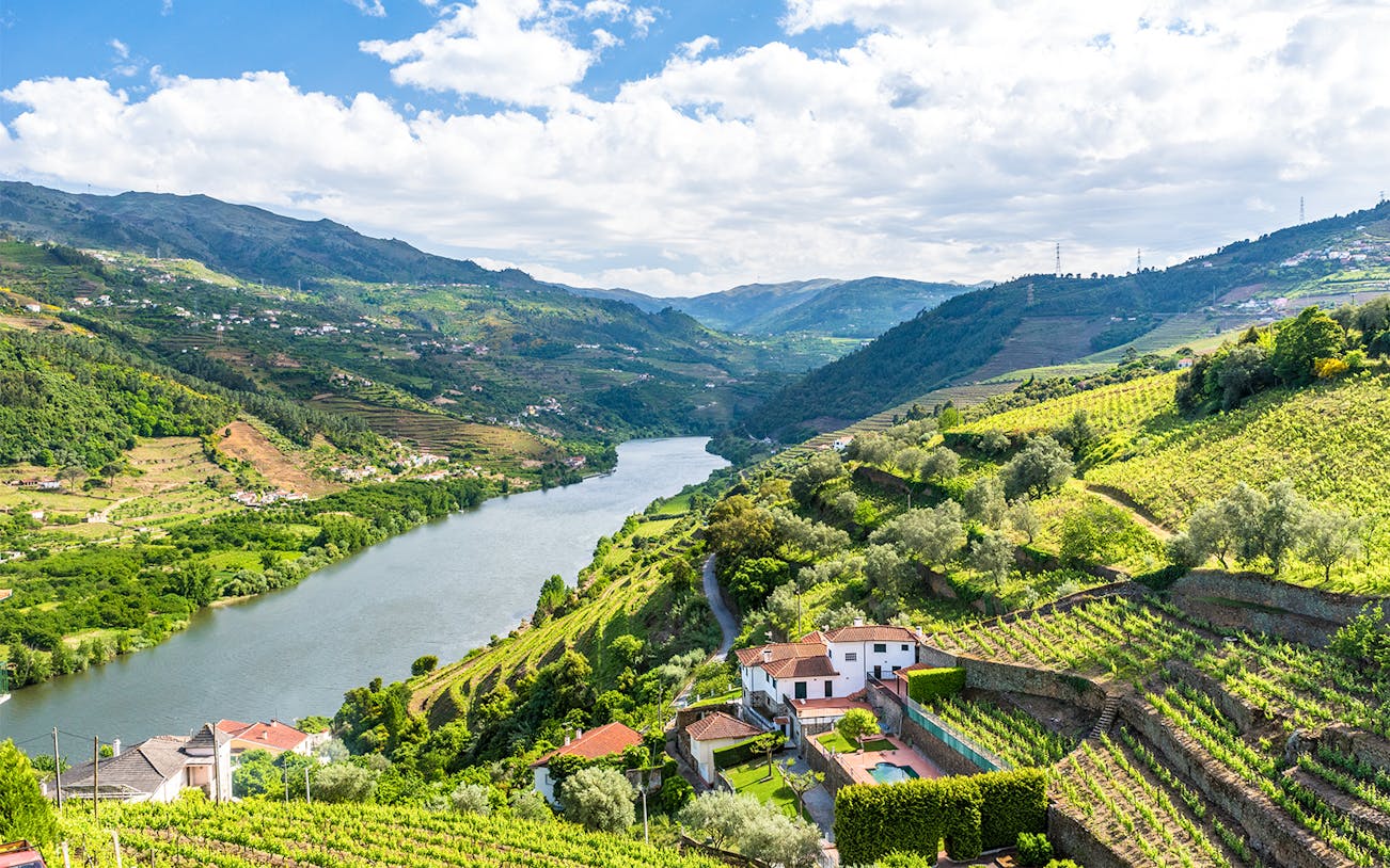 Douro Valley vineyards and river view, Portugal.