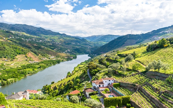 Classic Douro Valley Guided Tour with 1-Hour Pinhão Cruise, Traditional Lunch & Wine Tastings