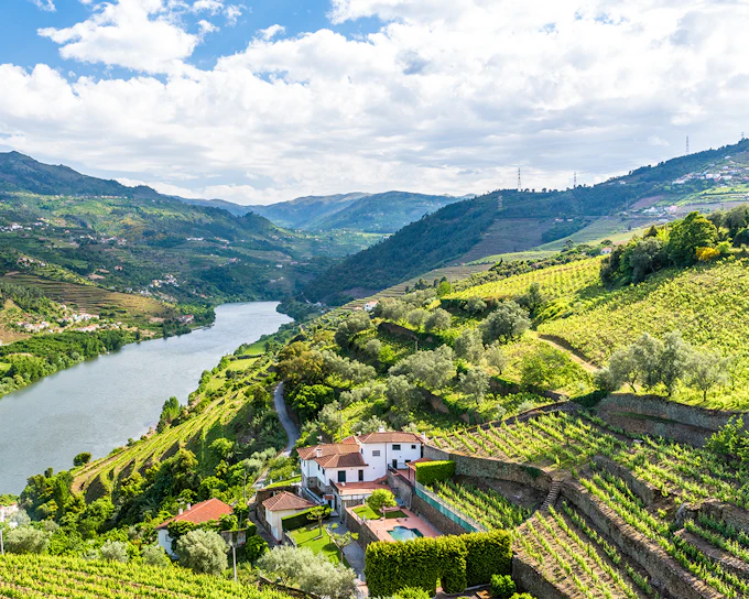 Classic Douro Valley Guided Tour with 1-Hour Pinhão Cruise, Traditional Lunch & Wine Tastings