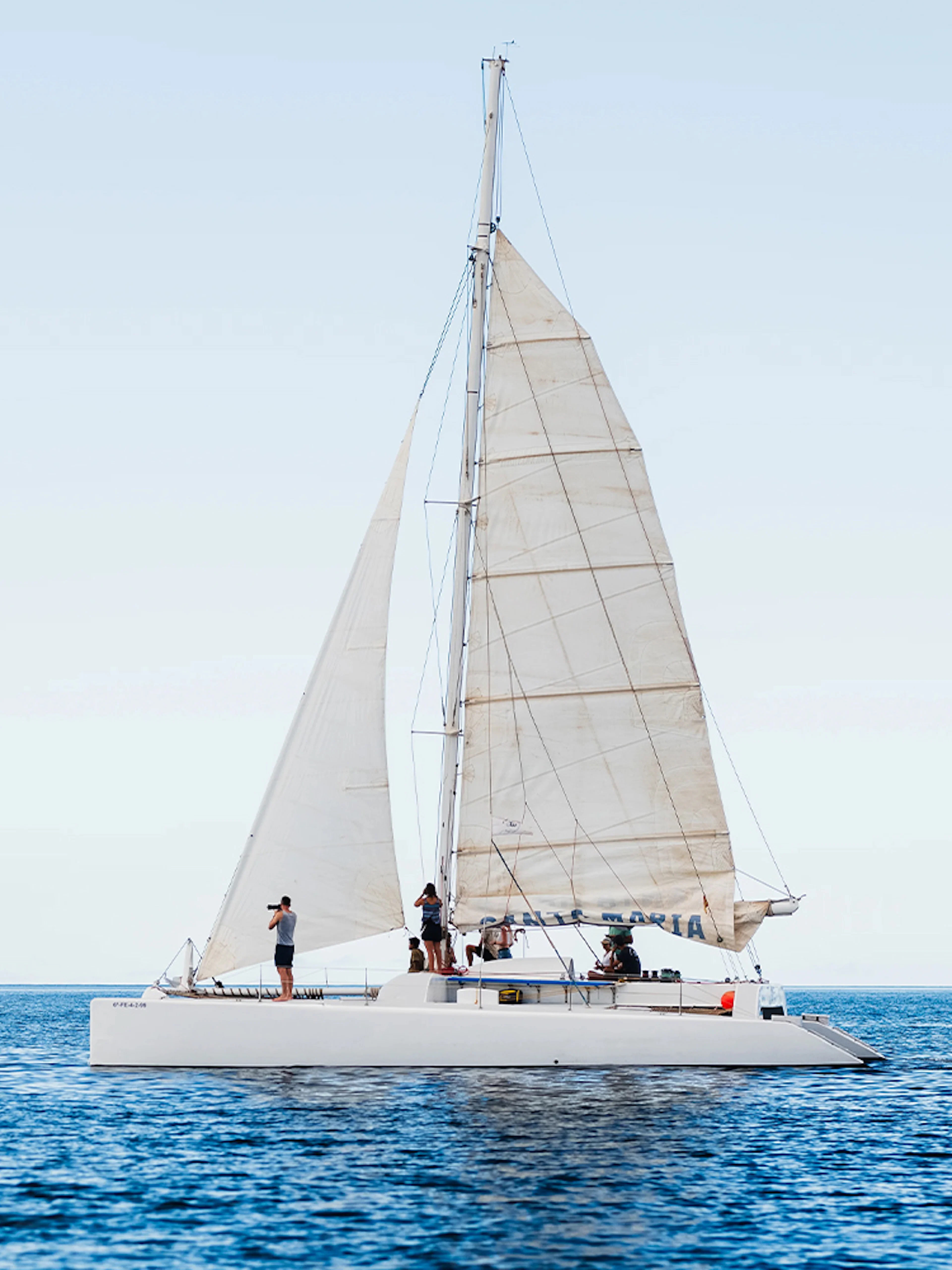 Sailboat with tourists on a private dolphin watching tour in open sea.