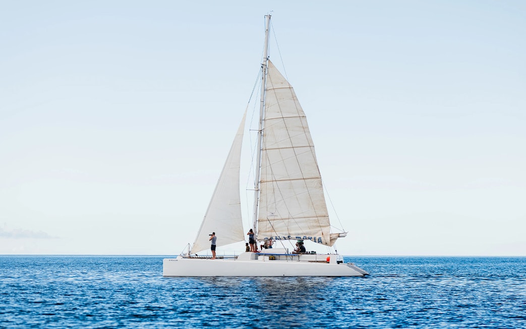 Sailboat with tourists on a private dolphin watching tour in open sea.