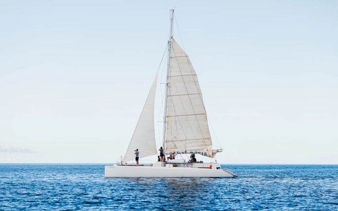 Sailboat with tourists on a private dolphin watching tour in open sea.