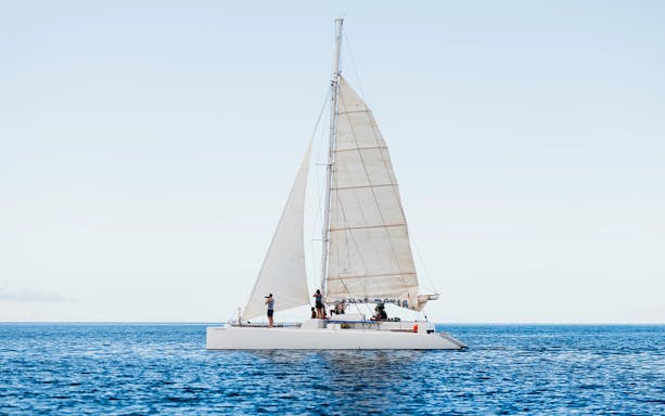 Sailboat with tourists on a private dolphin watching tour in open sea.
