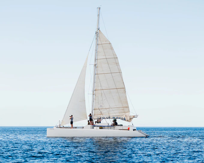 Private Whale & Dolphin Watching Cruise