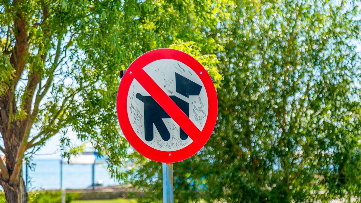 No dogs allowed sign in a park setting with trees in the background.
