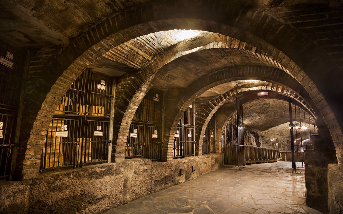 wine tour of 2 rioja wineries from bilbao-9 wine tour of 2 rioja wineries from bilbao-9