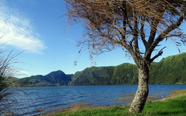 Sete Cidades lake view with tree and lush green hills on a half-day van tour.