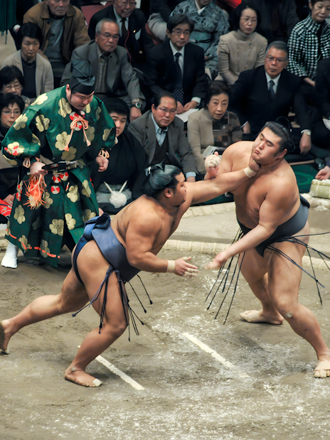 osaka grand sumo tournament: reserved seats & expert guide at edion arena (march)-6