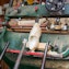 Enter a classic clog factory