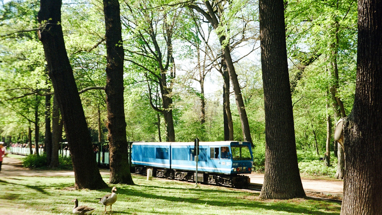 Versailles Mini Train traveling through lush green forest.