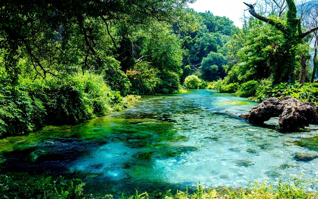 Blue Eye Springs with clear turquoise water surrounded by lush greenery in Albania.