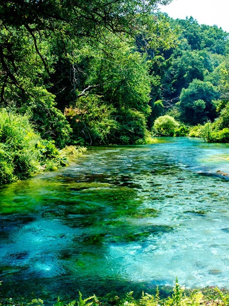 Blue Eye Springs with clear turquoise water surrounded by lush greenery in Albania.