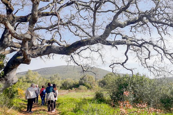 half-day hiking at arrábida natural park-6