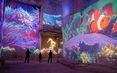Ocean-themed projections at Carrières des Lumières Immersive Experience, featuring coral and marine life.