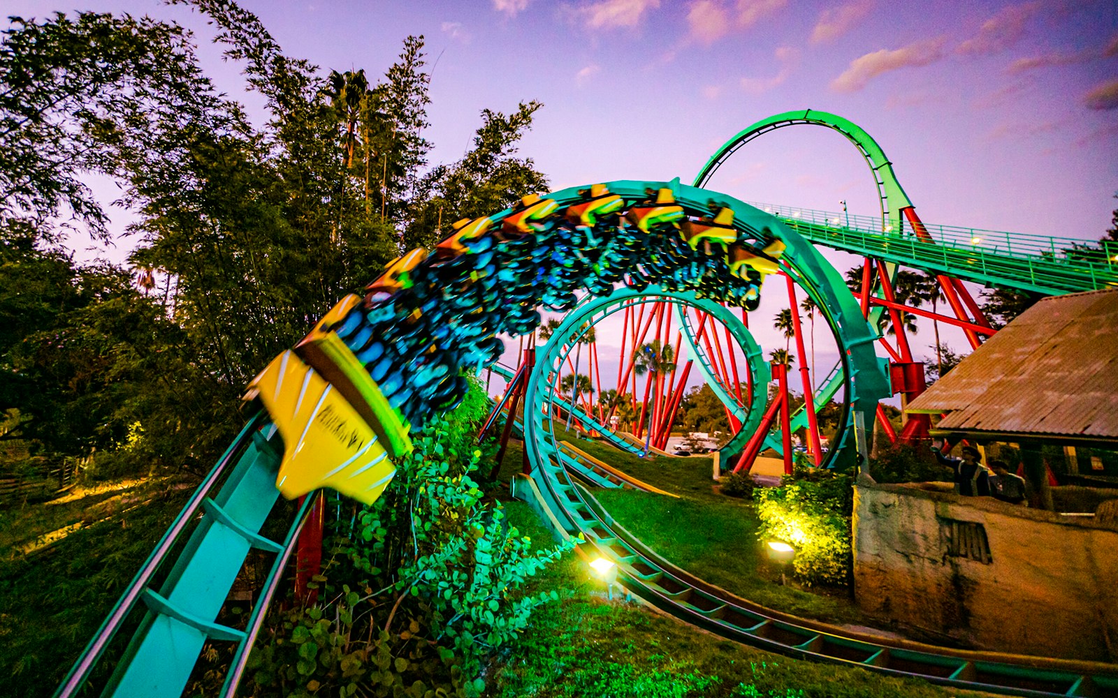 Roller coaster looping at Busch Gardens, Tampa Bay.
