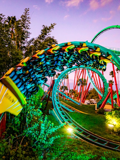 Roller coaster looping at Busch Gardens, Tampa Bay.