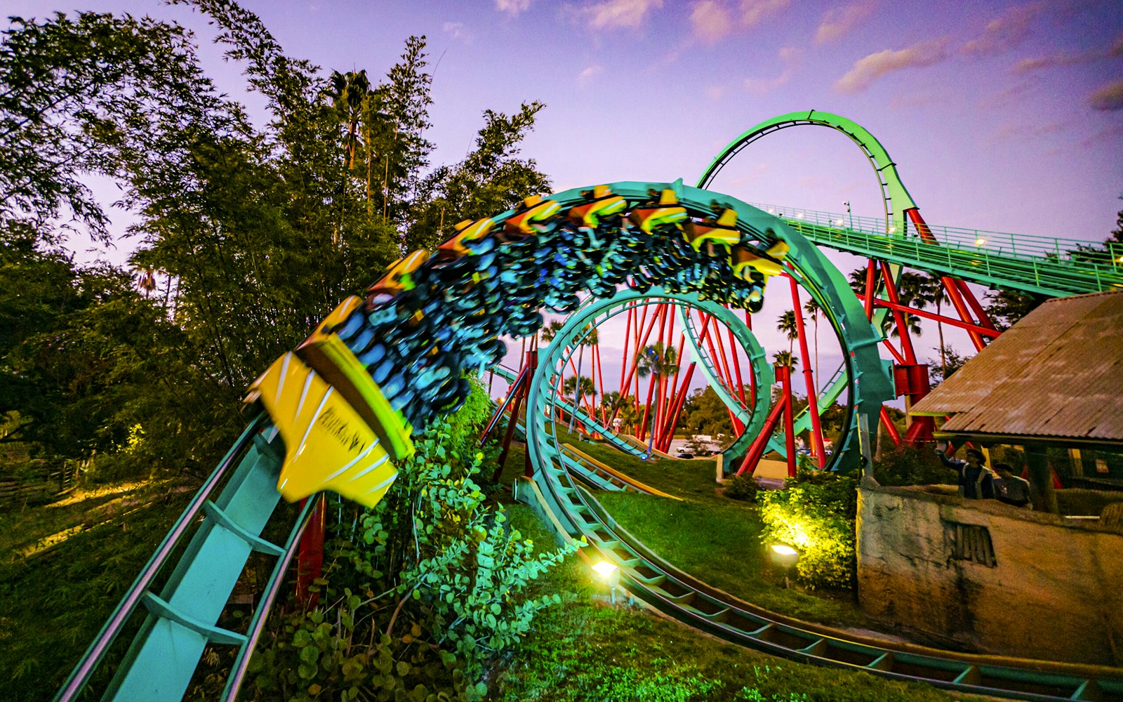 Roller coaster looping at Busch Gardens, Tampa Bay.