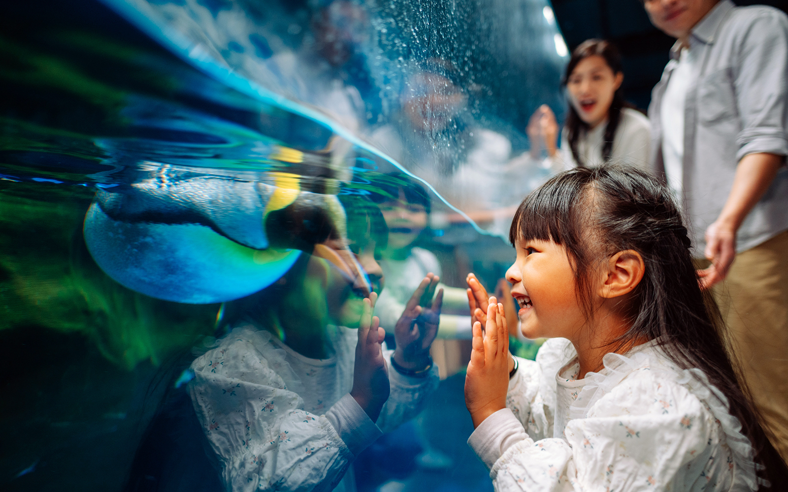 Play & Learn with Shadows!