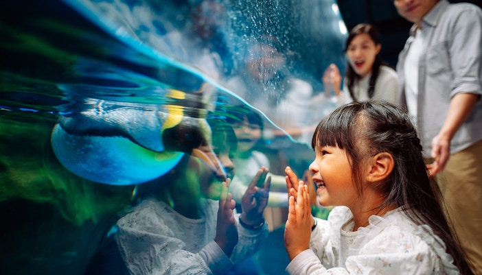 Play & Learn with Shadows!