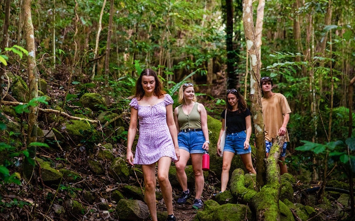 Group hiking through lush forest on Fitzroy Island adventure.