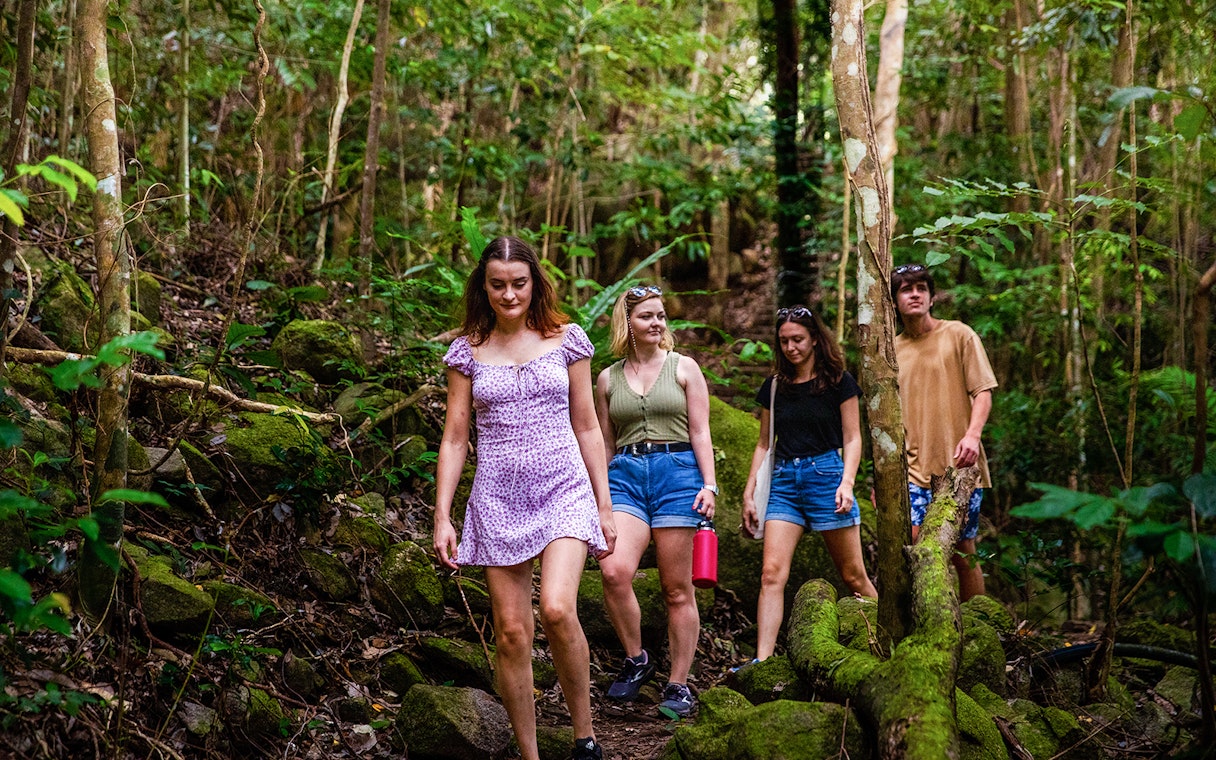 Group hiking through lush forest on Fitzroy Island adventure.