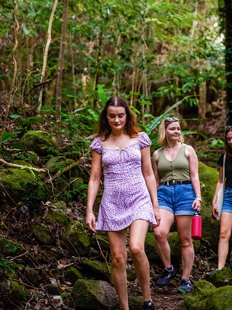 Group hiking through lush forest on Fitzroy Island adventure.