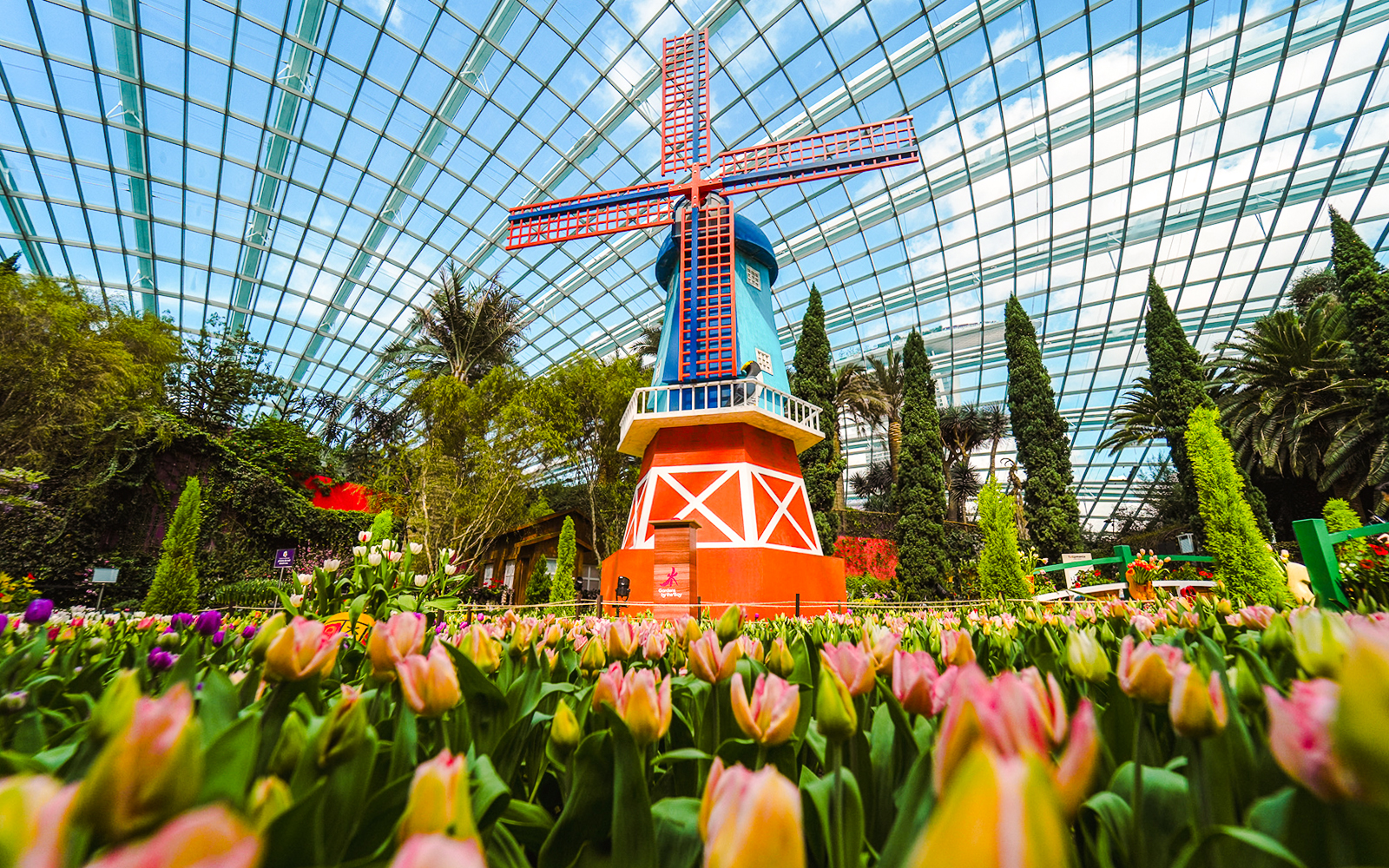 Tulipmania transforms Gardens by the Bay into a Dutch paradise