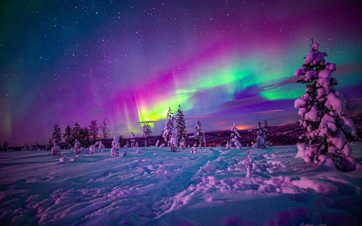 Northern Lights over snowy landscape in Rovaniemi during guided tour.