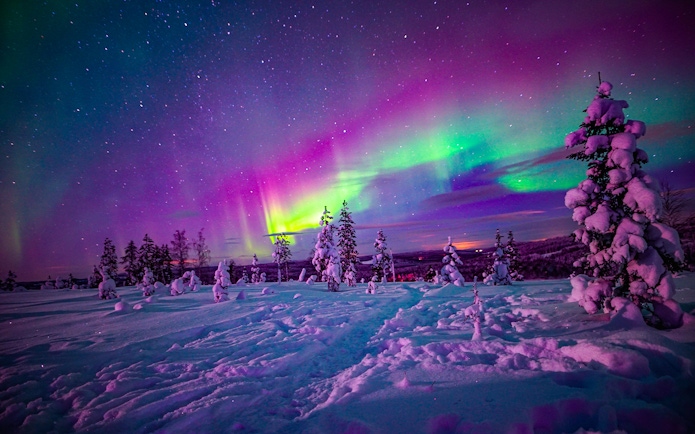 Northern Lights over snowy landscape in Rovaniemi during guided tour.