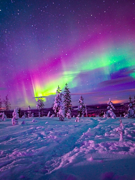 Northern Lights over snowy landscape in Rovaniemi during guided tour.