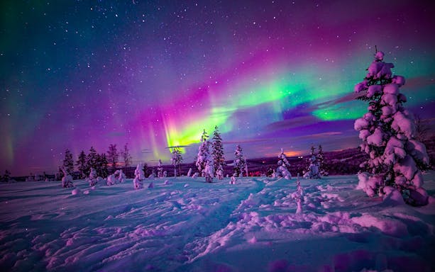 Northern Lights over snowy landscape in Rovaniemi during guided tour.