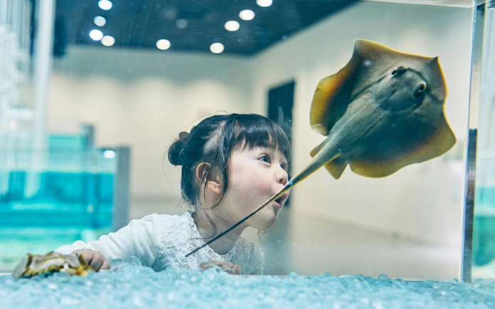 Child interacting with a stingray at NIFREL Interactive Aquazoo.