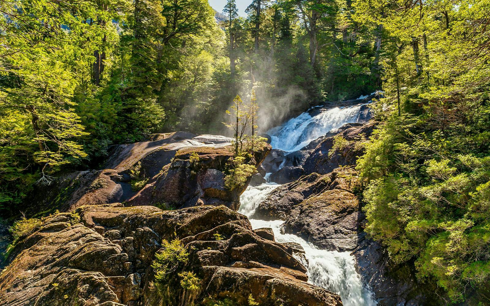 Los Cántaros Waterfall flowing through Valdivian rainforest in Patagonia.