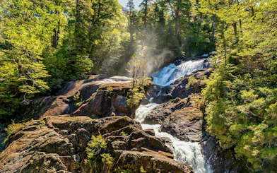 Los Cántaros Waterfall flowing through Valdivian rainforest in Patagonia.
