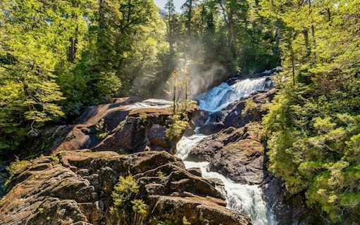 Los Cántaros Waterfall flowing through Valdivian rainforest in Patagonia.
