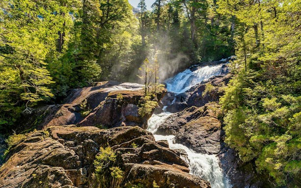 Los Cántaros Waterfall flowing through Valdivian rainforest in Patagonia.