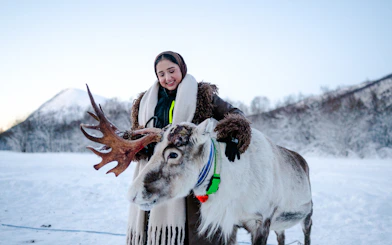 From Tromsø: Reindeer Sledding and Sami Culture Tour with Lunch and Hot Drinks
