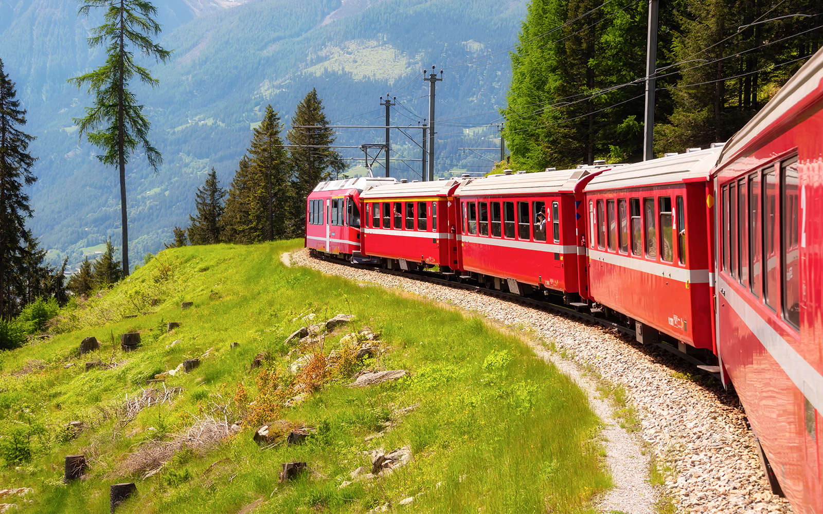 Red train moving in beautiful green summer forest in Switzerland