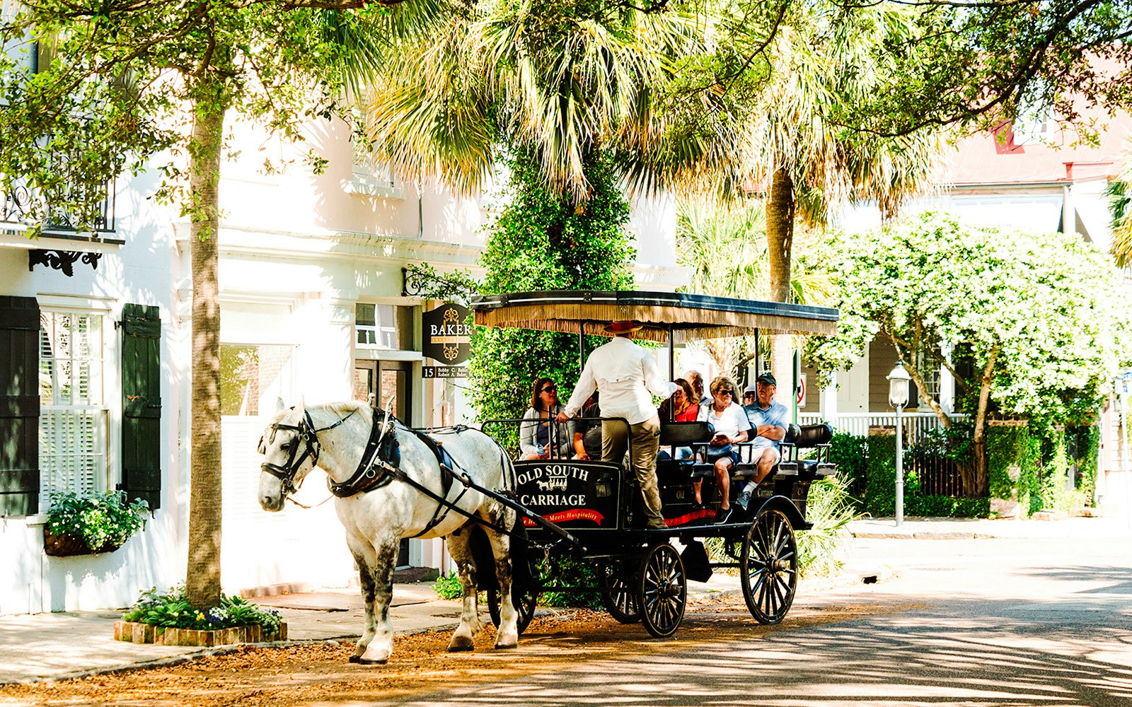Horse-drawn carriage on a street in historic Charleston, South Carolina.
